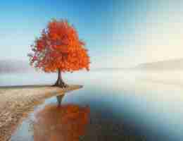 智﻿能‌云​科​技‌有﻿限‌公﻿司‌官‍网‍